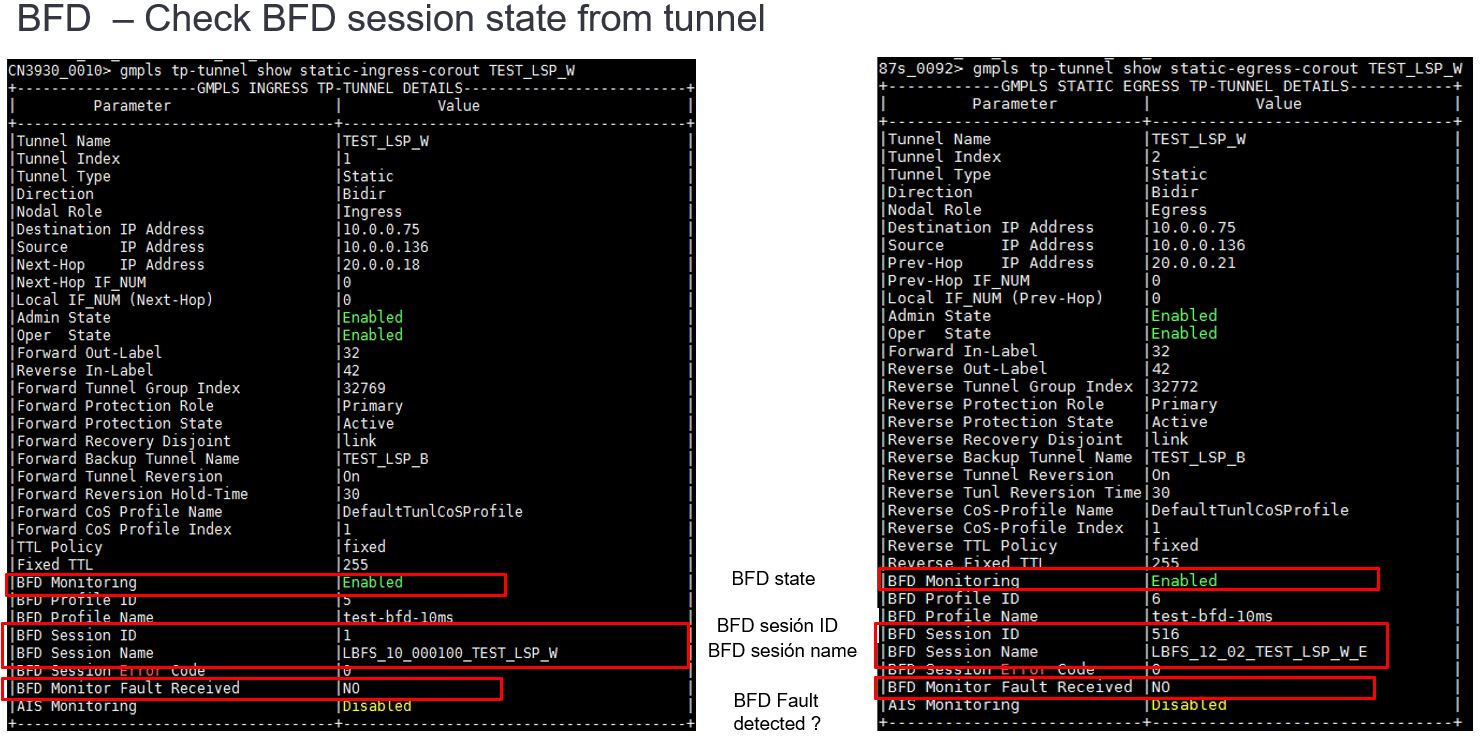SAOS_6 and SAOS_8: Basic Static MPLS LSP troubleshooting