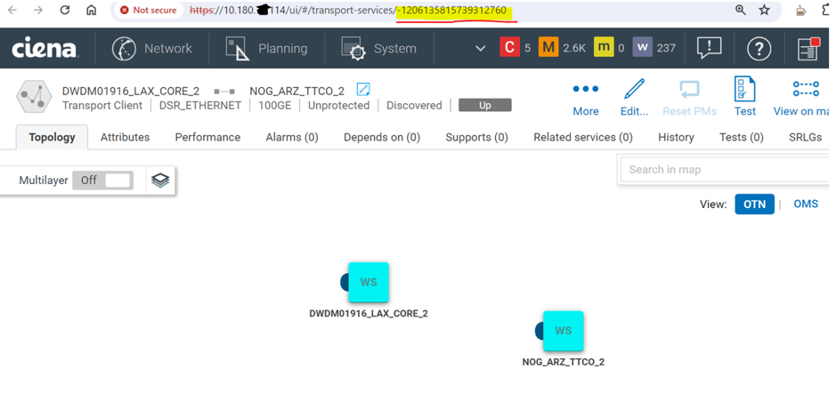 MCP: How to fetch optical Services data through API.