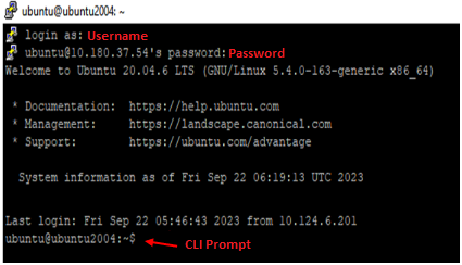 MCMS: How to access MCMS controller CLI and collect debugging logs